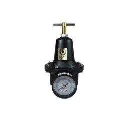 Coilhose Pneumatics 8802g 1/4" Regulator W/ Gauge