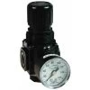 Dixon Valve R72M-2RG 1/4" Series 1 Manifold Regulator W/ Gauge